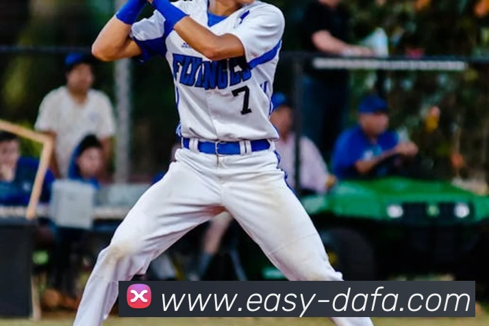 大发官网服务体系